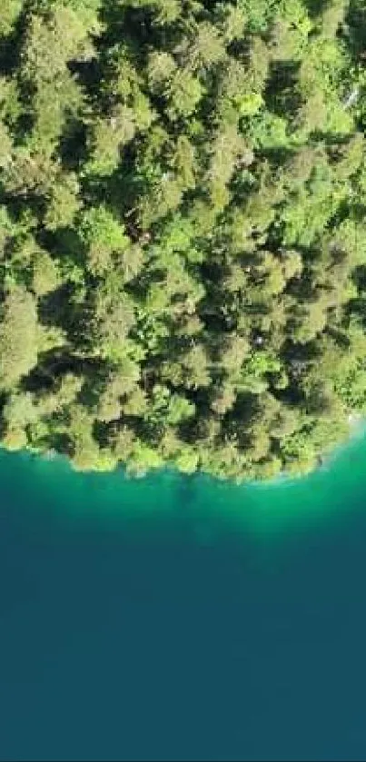 Aerial view of a serene lake surrounded by lush forest.