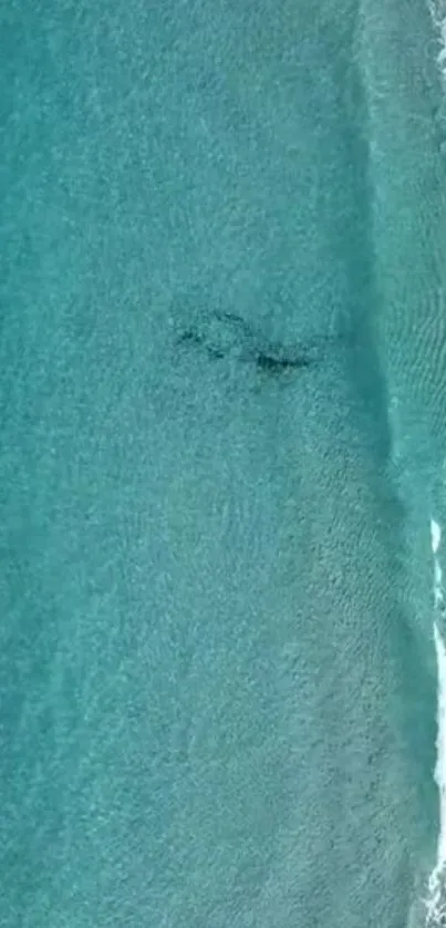 Aerial view of a serene ocean with blue waves and a calm shoreline.