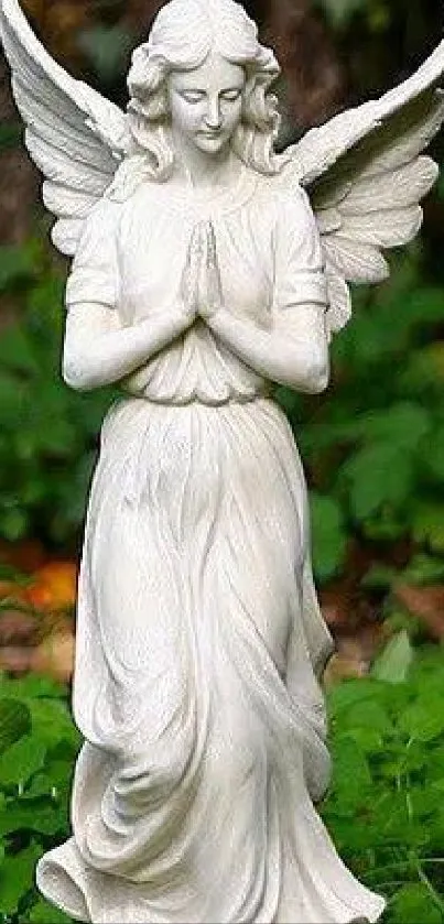 A serene angel statue surrounded by lush green garden foliage.