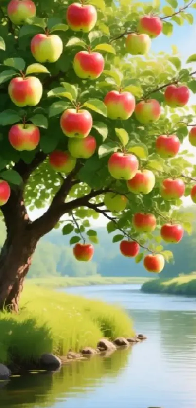 Apple tree by a river with bright apples on a sunny day.