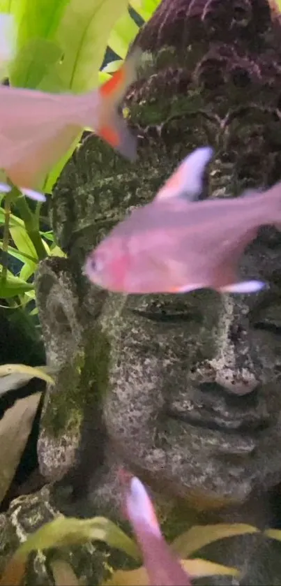 Buddha statue with fish in a lush aquatic setting.