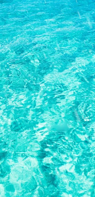 Turquoise ocean water phone wallpaper with gentle shimmering waves.