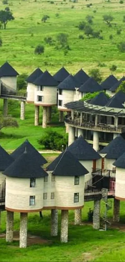 Unique architectural houses set in lush green landscape.