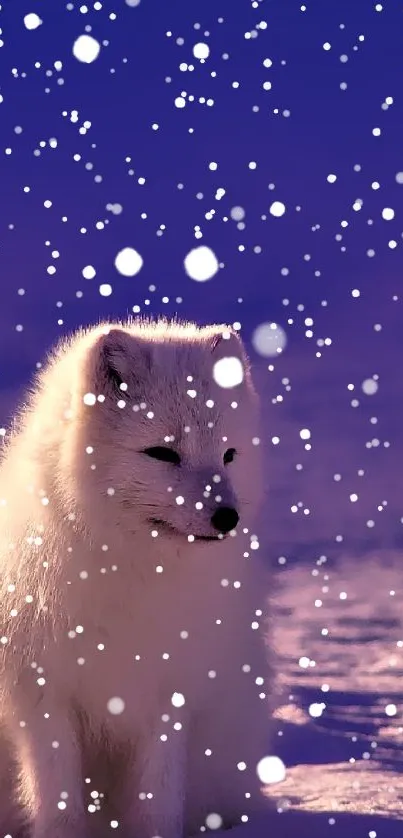 A serene arctic fox resting on a snowy landscape with a violet hue.