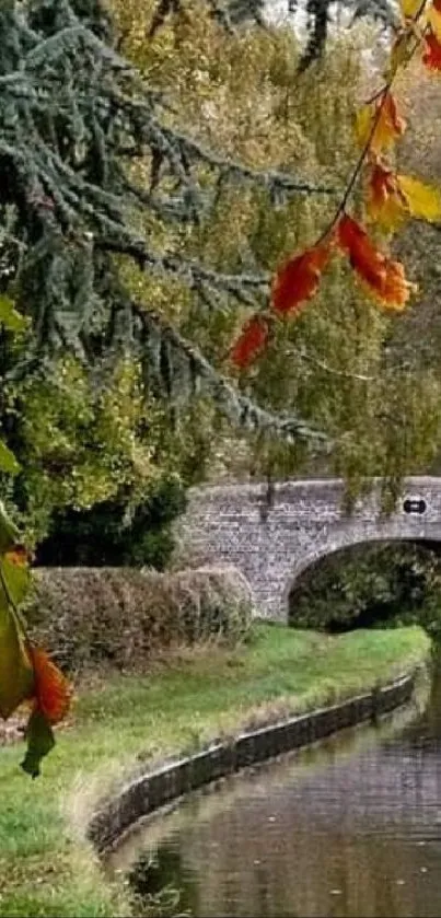 Tranquil canal bridge with vibrant autumn leaves.