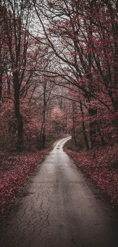 Mobile wallpaper of an autumn forest path with crimson leaves.