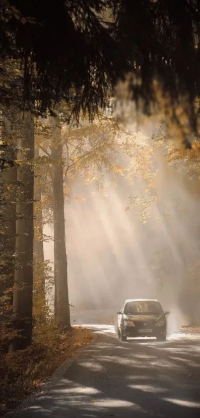 A car drives through an autumn forest with sunrays filtering through trees.