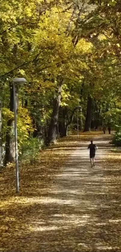 Mobile wallpaper of a serene autumn path with golden leaves.