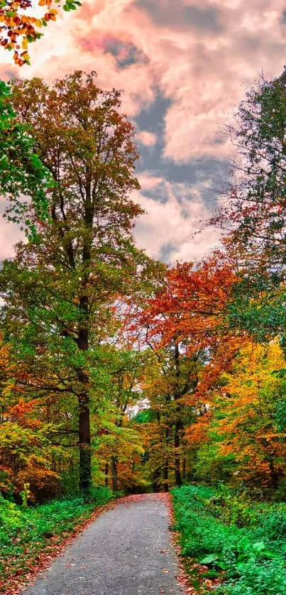 A serene autumn forest path with vibrant foliage.