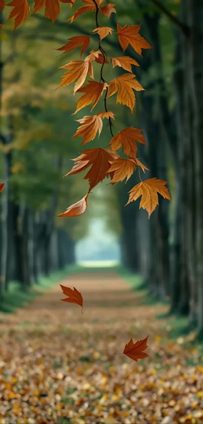 Autumn leaves falling in a serene forest path.