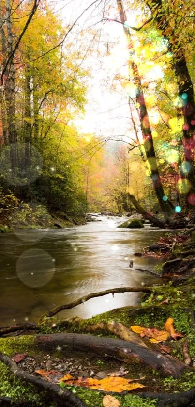 Tranquil autumn forest stream with fall colors for mobile wallpaper.