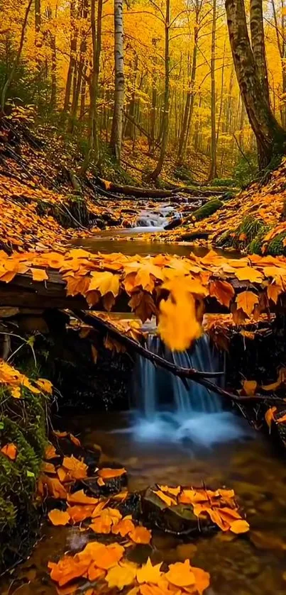 Tranquil autumn forest stream with vibrant leaves.