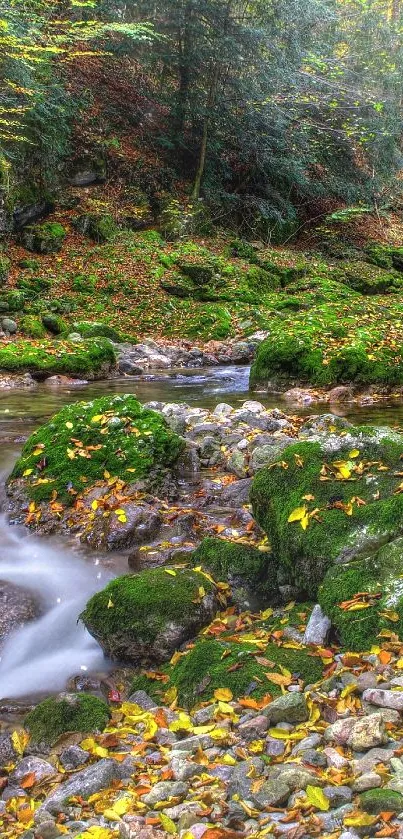 Serene autumn forest stream with vibrant leaves and mossy rocks.