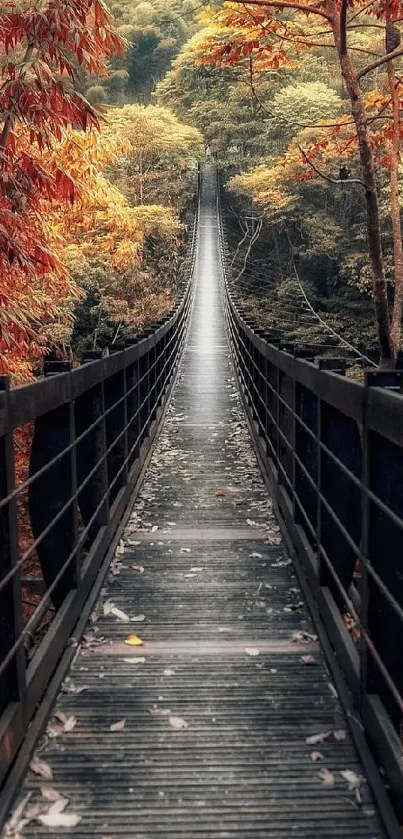 Autumn forest bridge with orange leaves.