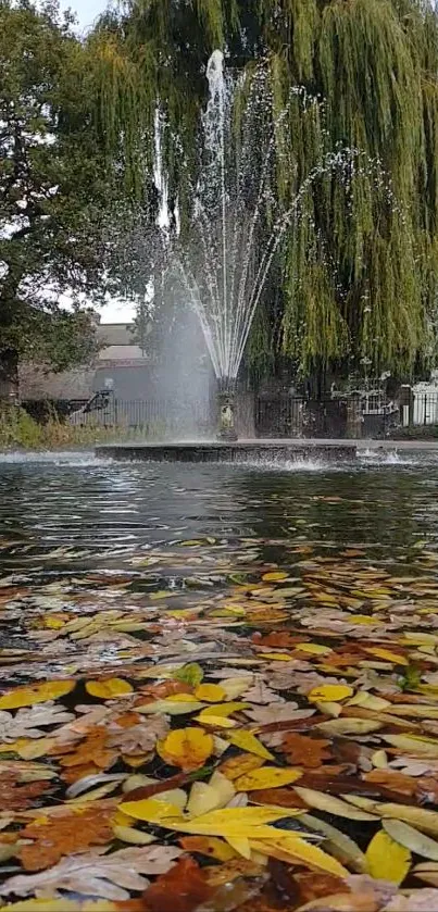 Tranquil mobile wallpaper with a fountain and autumn leaves.