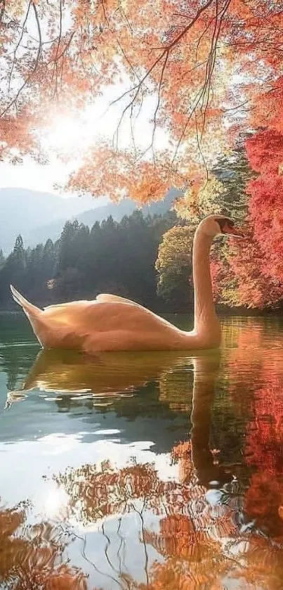 Swan glides on autumn lake surrounded by orange foliage.