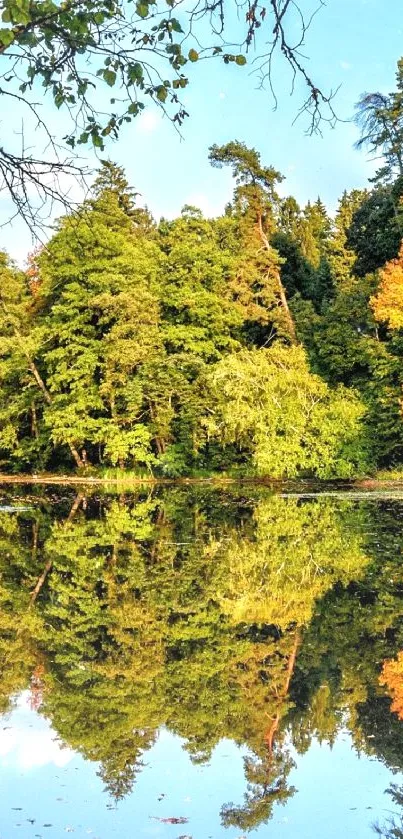 Serene autumn lake with vibrant foliage and reflections.