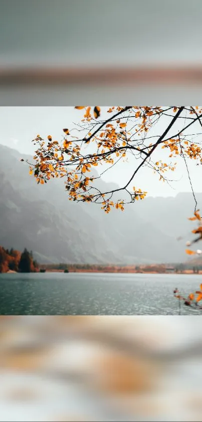 Autumn landscape with orange leaves over a mountain lake.