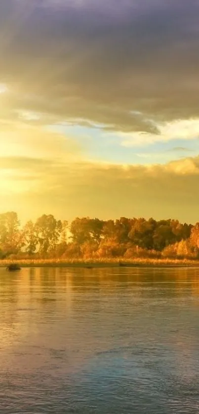 Golden sunset over a calm lake with trees in the background.