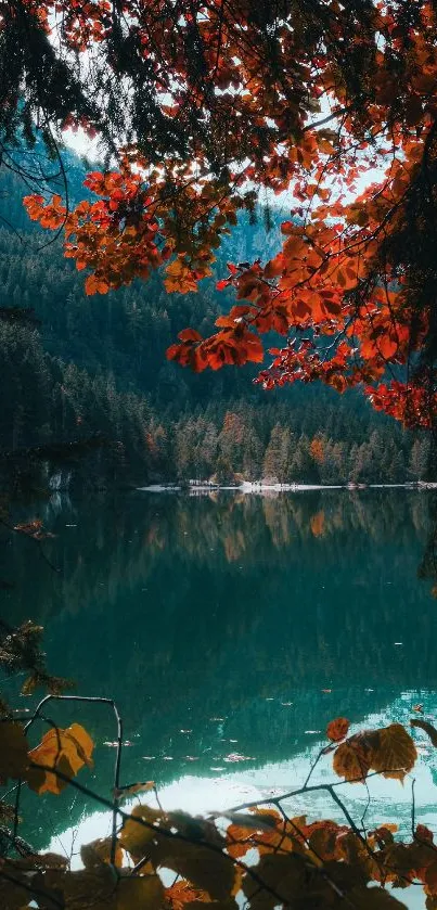 Peaceful lake surrounded by autumn foliage and serene forest.