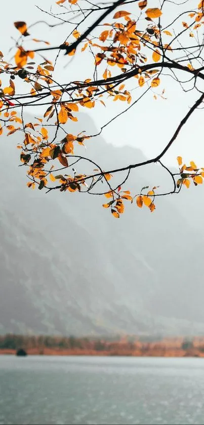 Serene lake with autumn leaves and misty mountains.