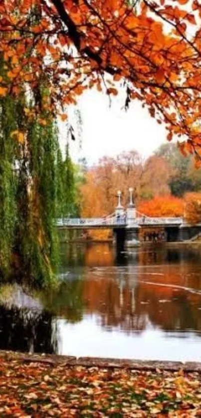 Serene autumn landscape with orange leaves and a tranquil lake view.