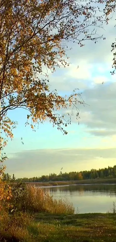 Serene autumn lake with golden foliage and a tranquil sky.