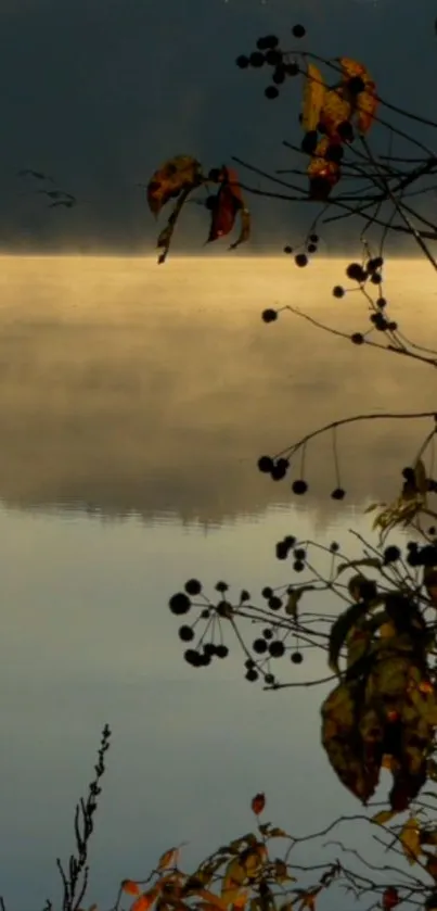 Misty autumn lake with serene foliage and reflections.