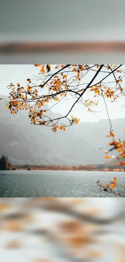 Autumn leaves overlooking a serene mountain lake scene.