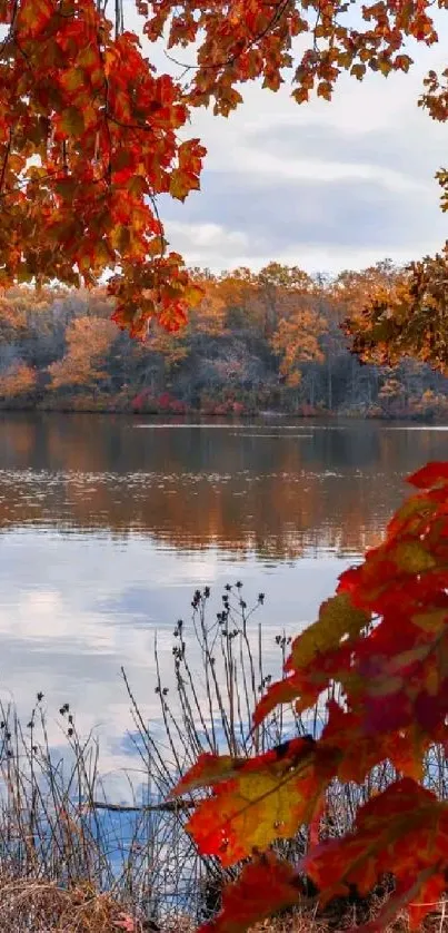 Autumn leaves by a serene lake with colorful reflections.