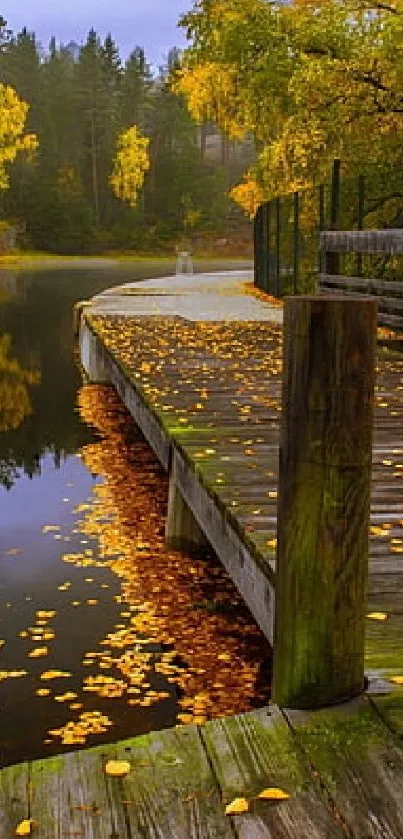 Serene autumn lakeside path with yellow leaves and wooden boardwalk.