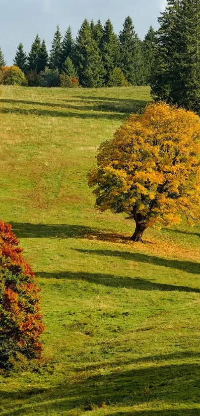Serene autumn landscape with colorful trees and green hills.