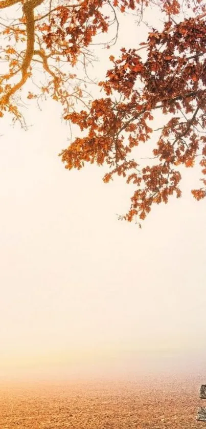 Serene autumn landscape with a rustic bench and golden leaves.