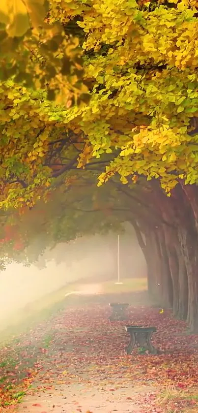 Serene autumn path with golden leaves creating a peaceful, scenic view.