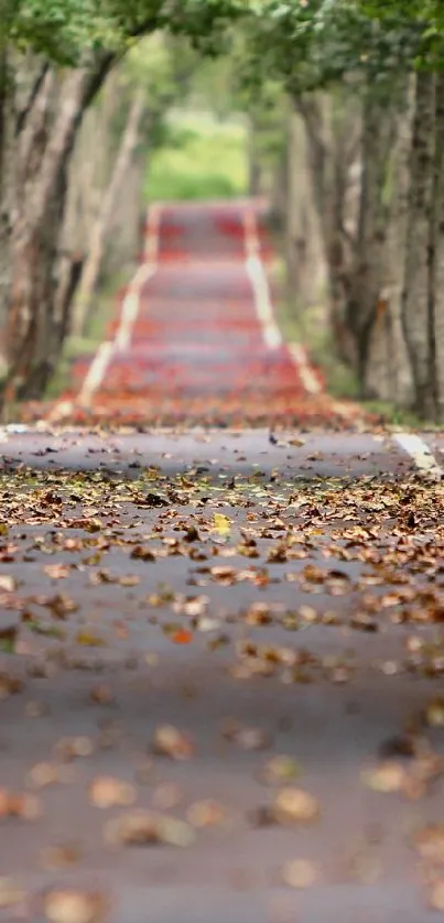 Tree-lined road with autumn leaves on the ground creating a serene atmosphere.