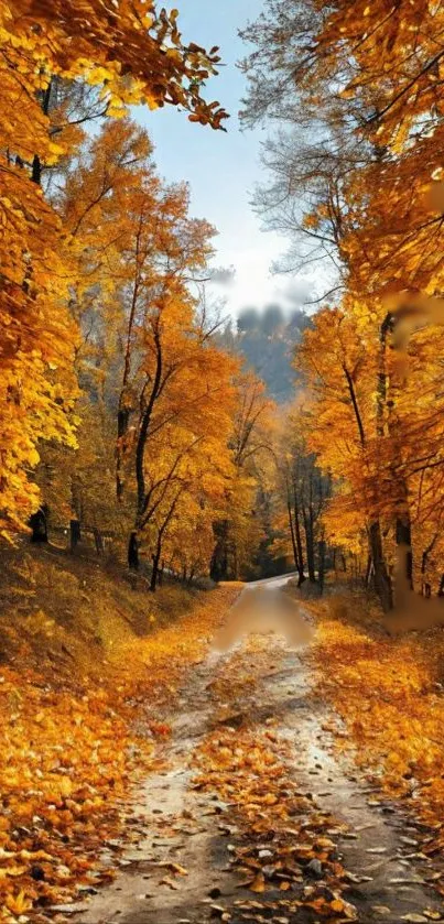 Autumn path with vibrant orange leaves and tranquil forest scenery.