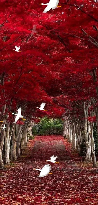 A serene pathway with red trees and flying white birds during autumn.