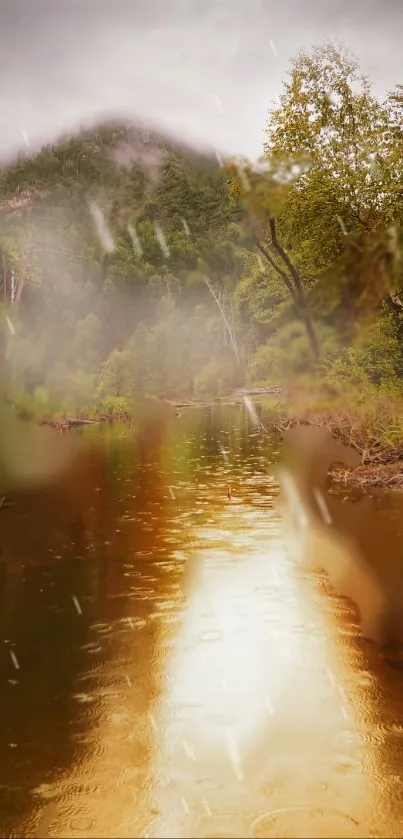 Tranquil autumn river with golden reflections and lush greenery in a scenic view.