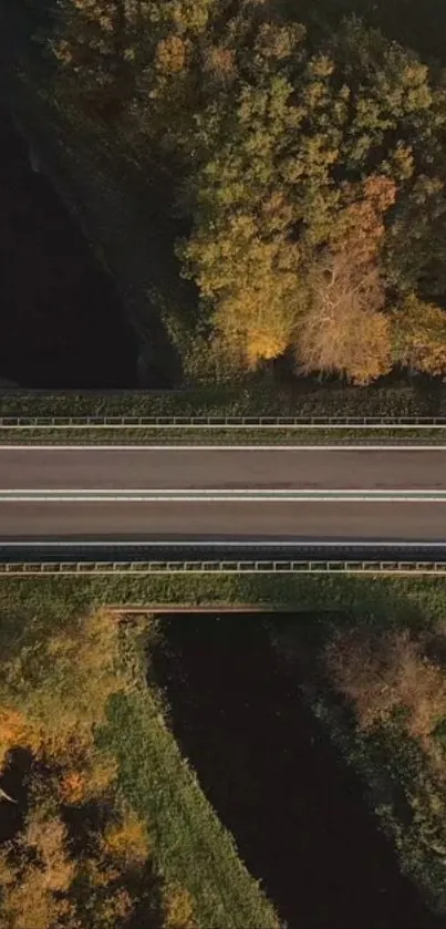 Aerial view of a road cutting through a lush autumn forest.