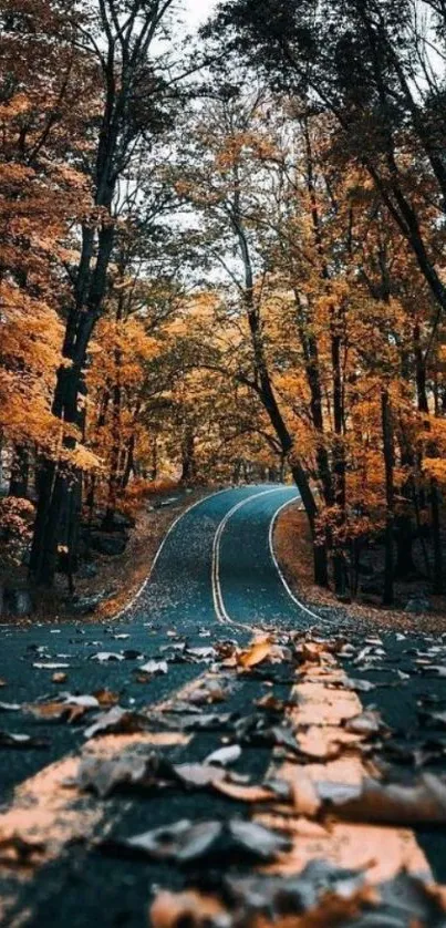 Winding road through vibrant autumn forest with orange foliage.