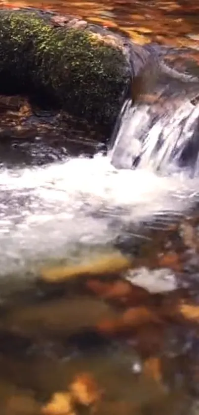 Serene waterfall stream with autumn leaves in a forest setting.