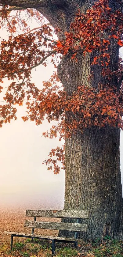 Serene tree with autumn leaves and a bench in a misty field.