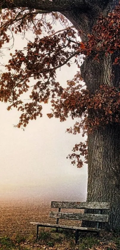 Peaceful autumn tree with a bench in mist.