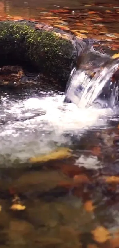 Serene waterfall with autumn leaves in a forest setting.