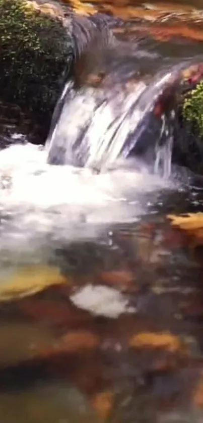 Serene waterfall amidst autumn leaves and mossy rocks.