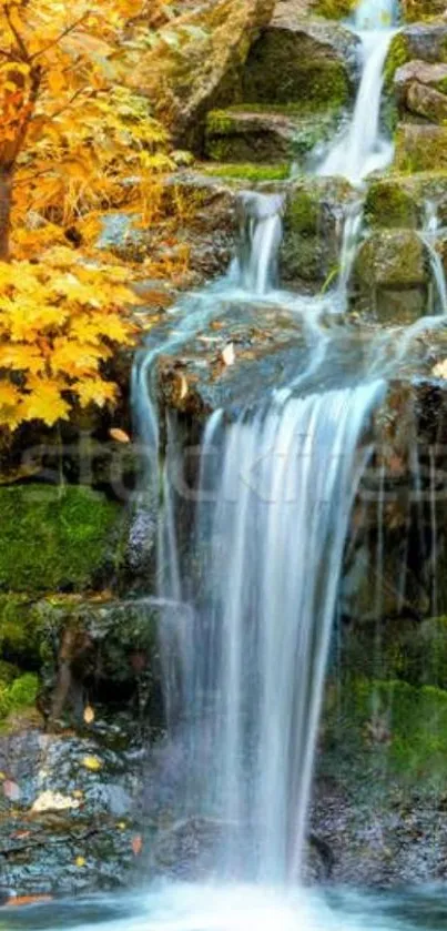 Peaceful autumn waterfall with orange leaves and cascading water.