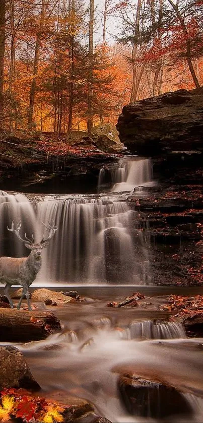 Autumn forest with waterfall and deer