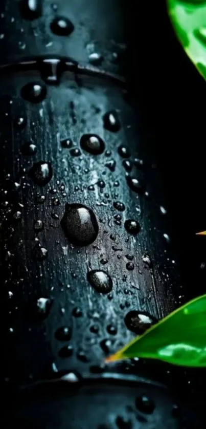 Dew-covered bamboo stems with green leaves.