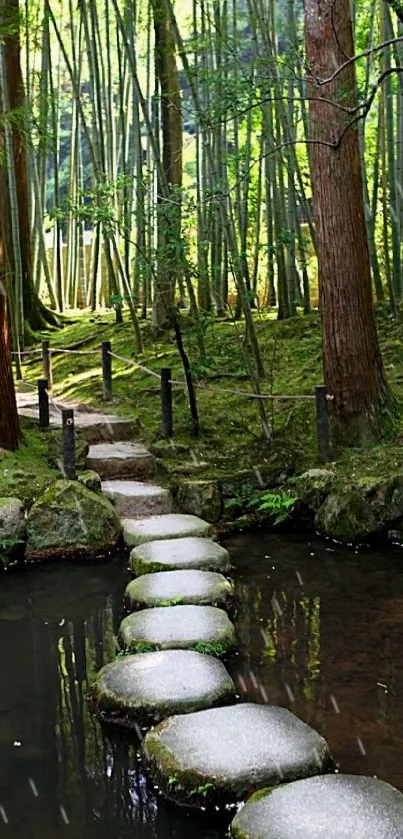 Serene bamboo forest path over a calm stream.