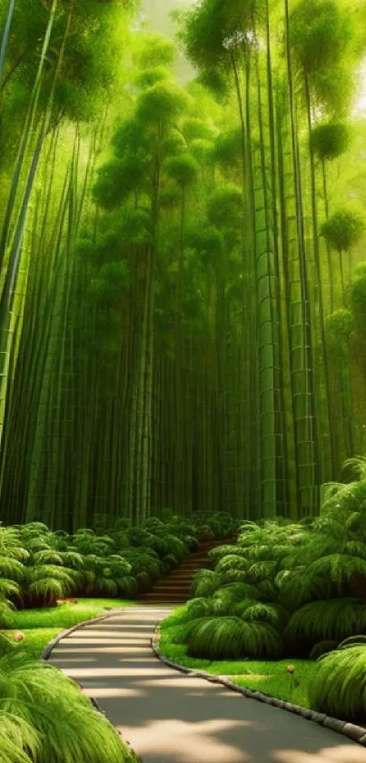 Serene bamboo forest with lush greenery and a winding pathway.